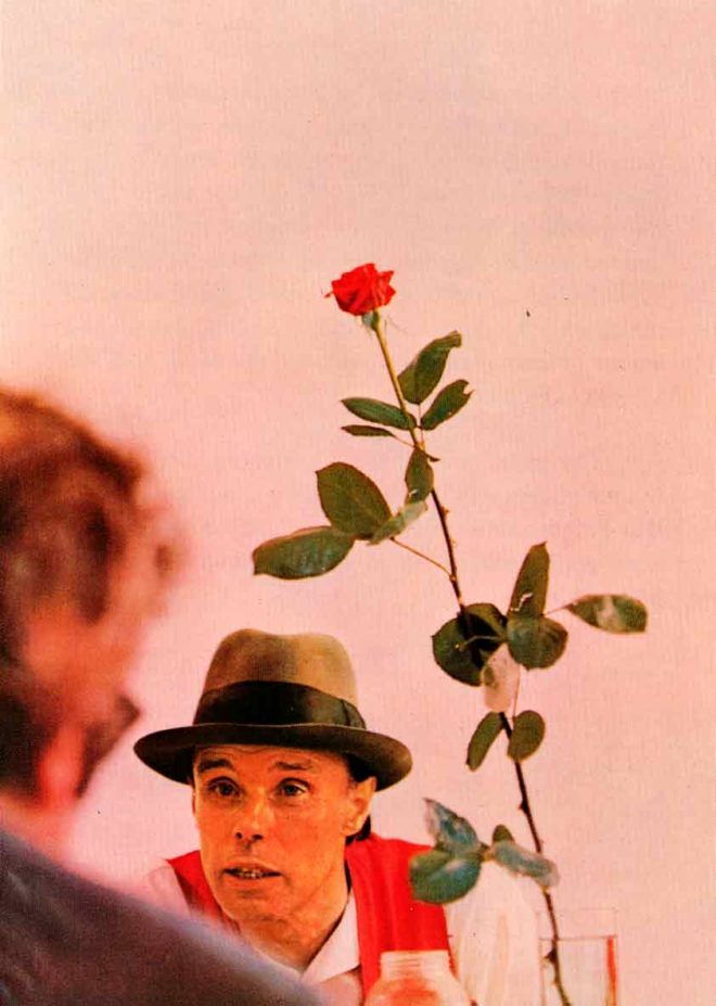 Ohne die Rose …
