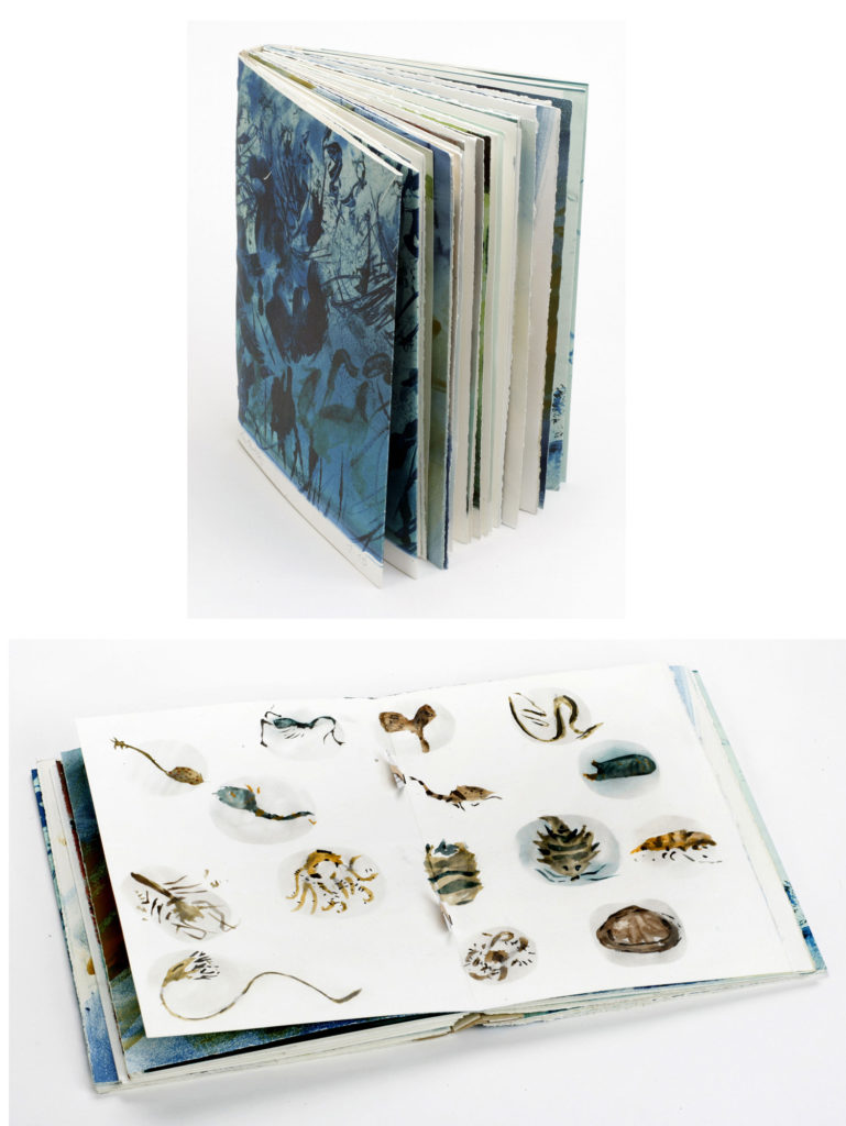 <span class="product-meta">Buch, Objekt, 2005</span> <br /><span class="product-artist">Olaf Wegewitz</span><span class="breadcrumb-separator">: </span> <br />Fauna der Antarktis