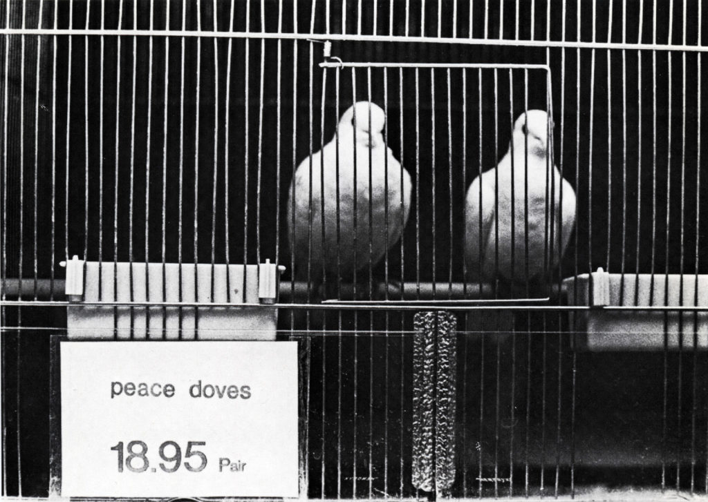 <span class="product-meta">Plakat, 1974</span> <br /><span class="product-artist">Klaus Staeck</span><span class="breadcrumb-separator">: </span> <br />Friedenstauben
